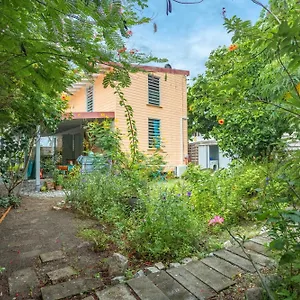 D'une A A 1 M De La Avec Vue Sur La Jardin Clos Et Wifi Le Carbet